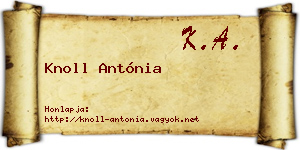 Knoll Antónia névjegykártya